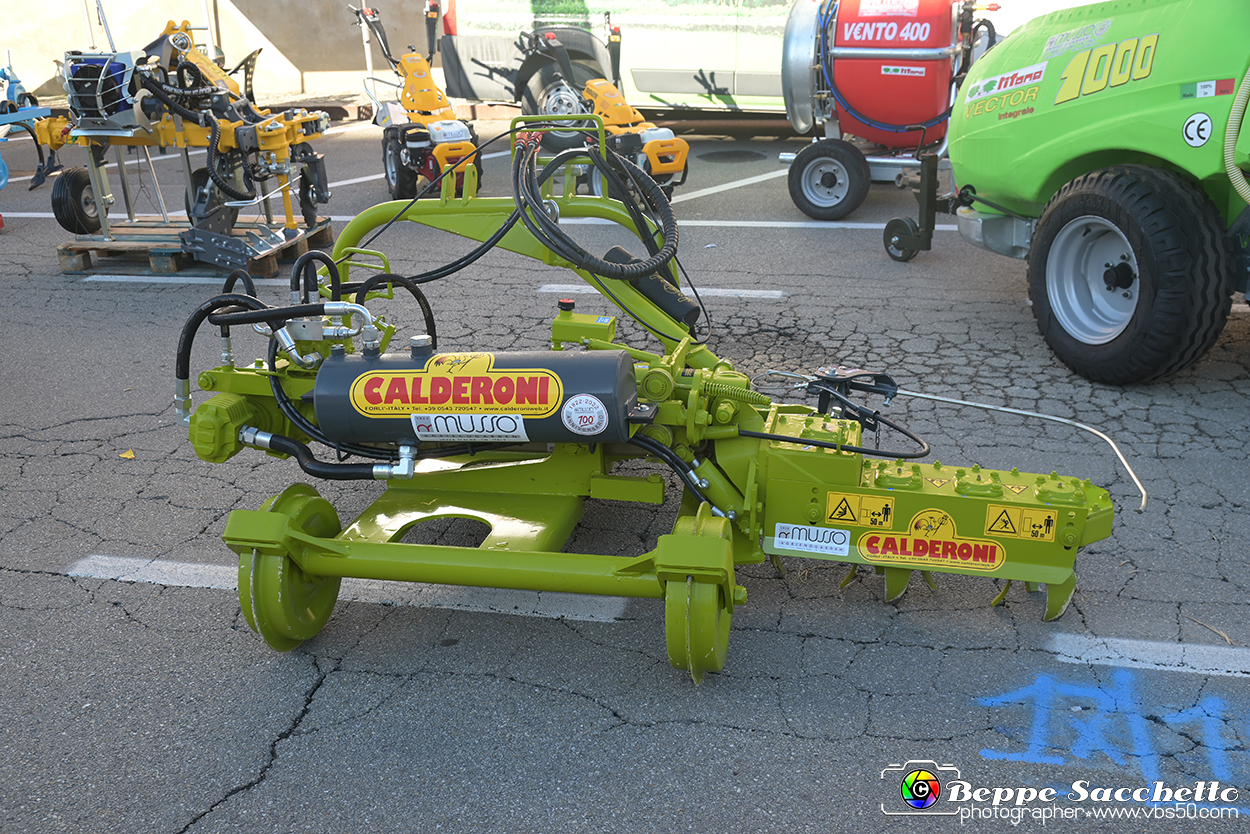 VBS_7262 - Fiera dei Santi - 12.ma Fiera Nazionale del Tartufo.jpg
